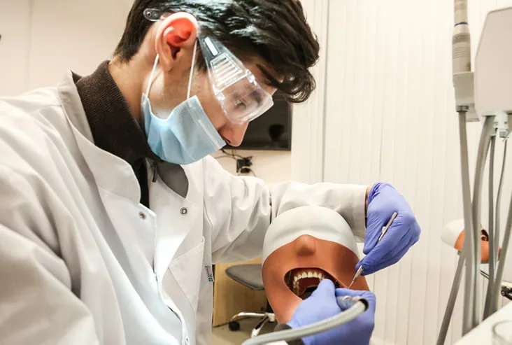 Study Dentistry In Armenia in english