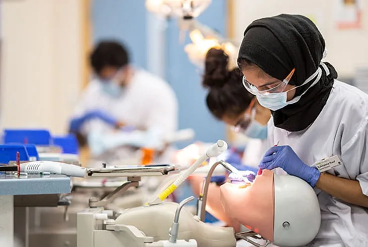 Study Dentistry In Hungry