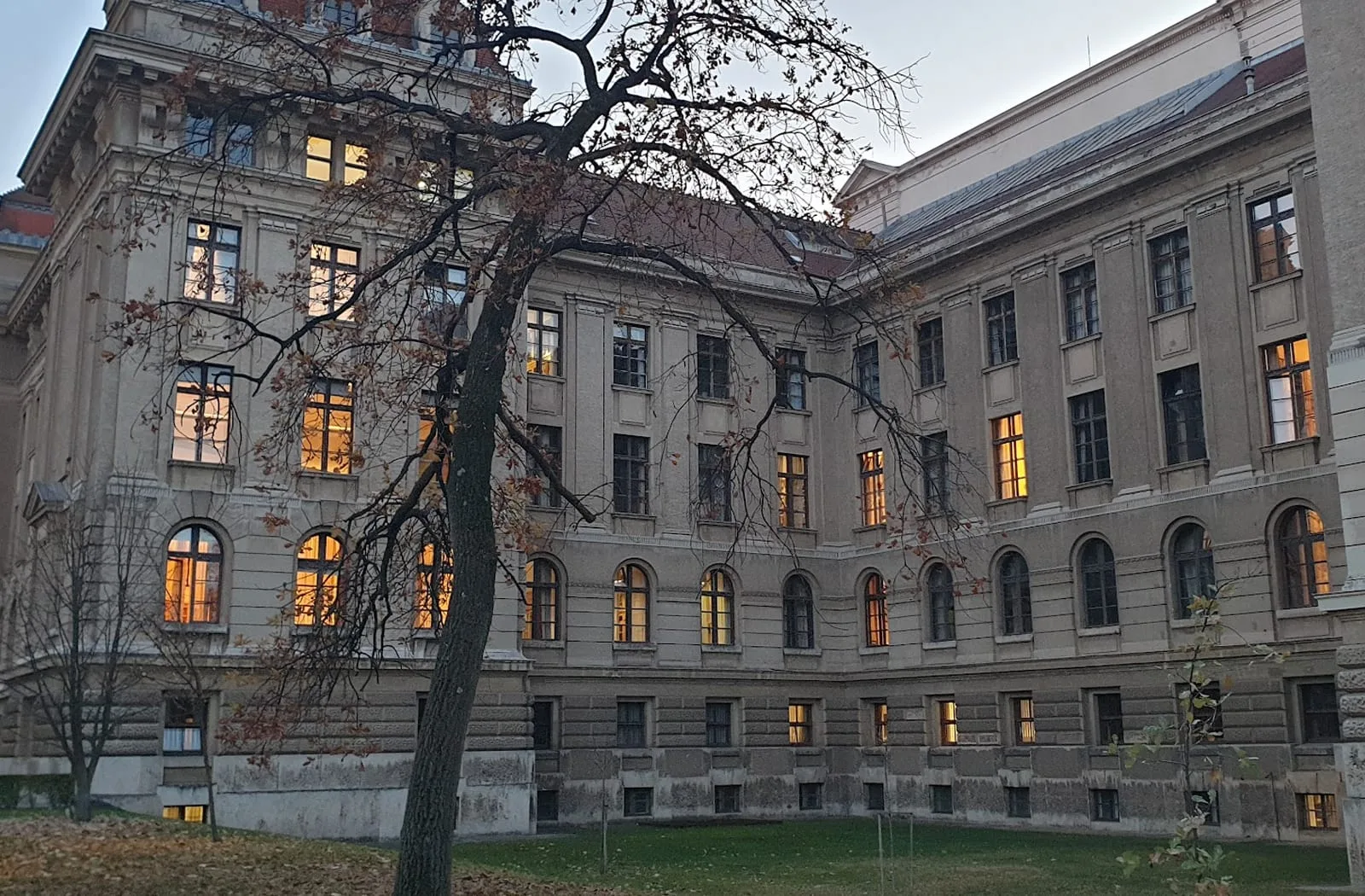 university of debrecen medical school