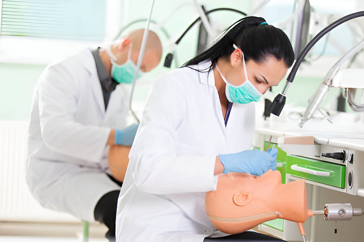 Study Dentistry