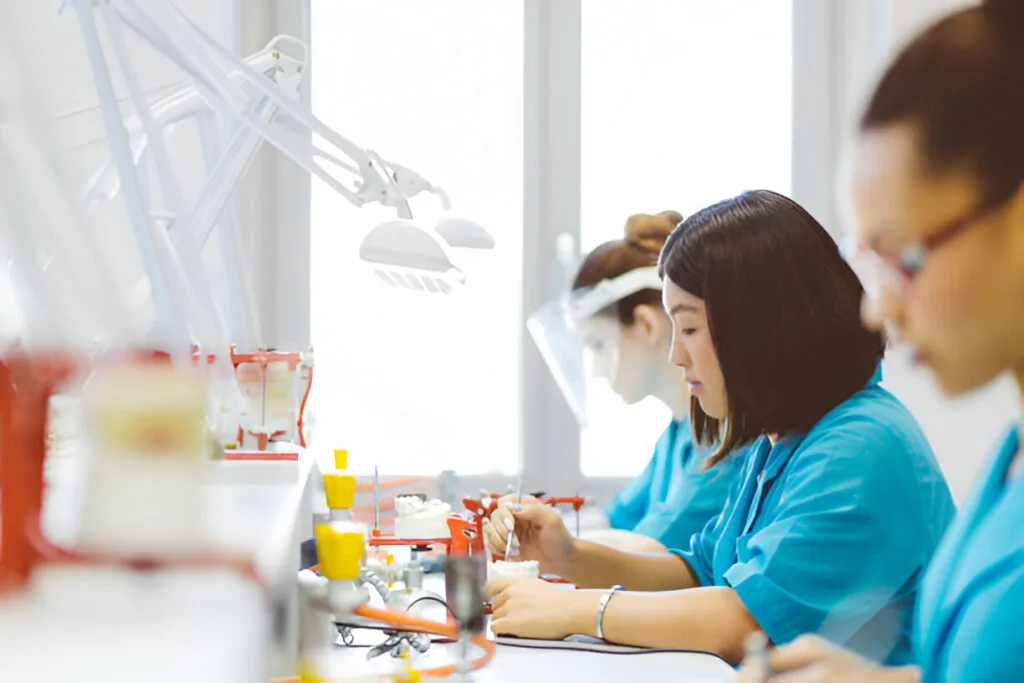 study Dentistry Poland