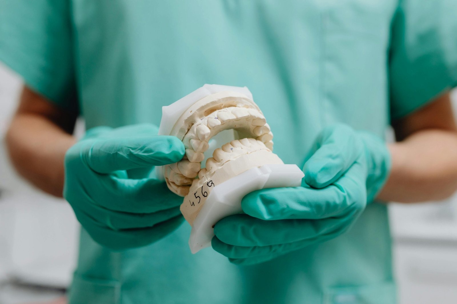 study dentistry