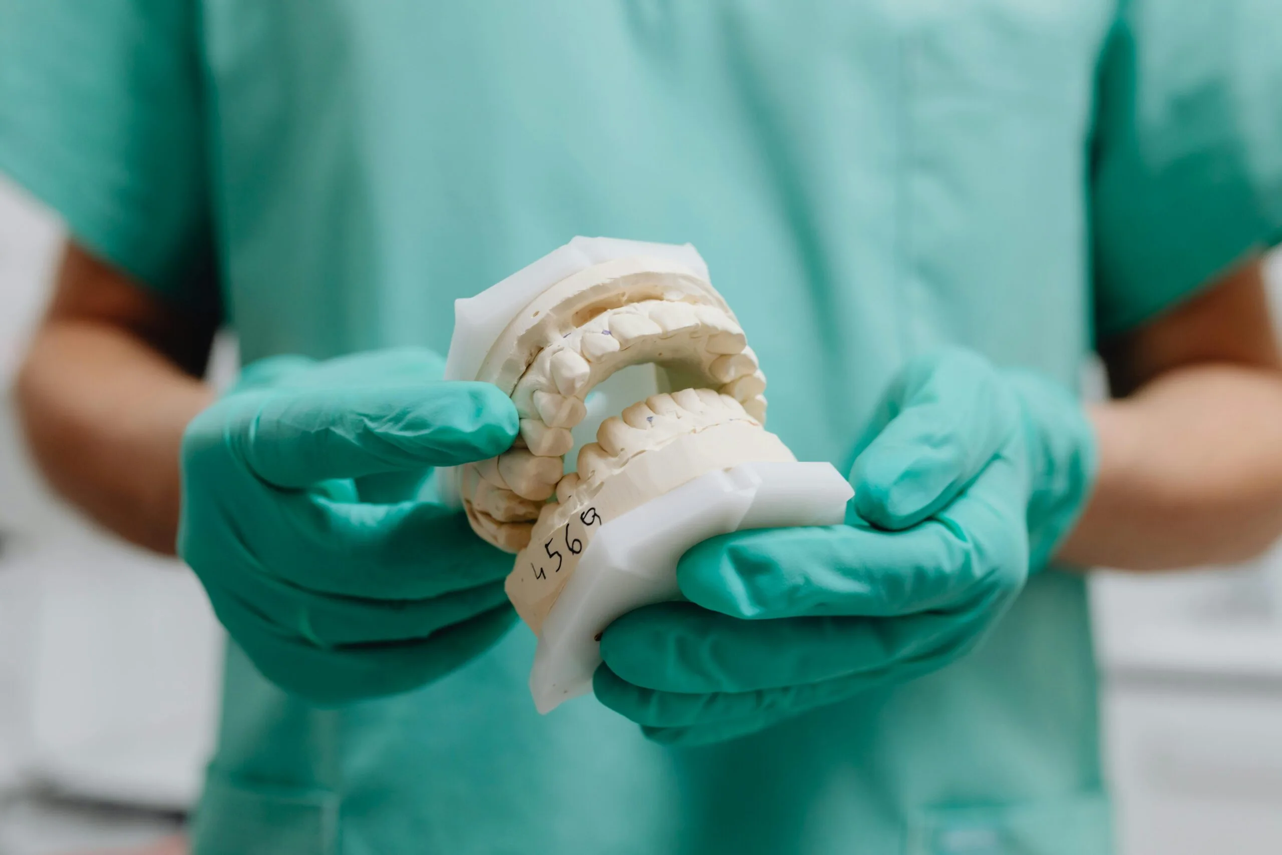 study dentistry