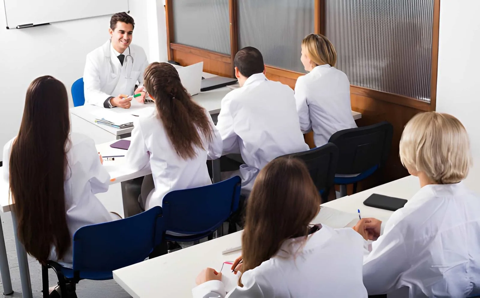 Language Barriers in European Medical Schools